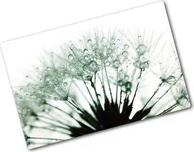 Produktbild von Tulup Glas Herdabdeckplatte - 80x52 cm - Glaskeramikkochfeld-Abdeckung Spritzschutz Glasabdeckplatte - Einteilig - Blumen & Pflanzen - Pusteblume Samen - Weiß