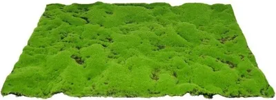 Productafbeelding van Kunstmos mat medium 70x50 cm groen My Village