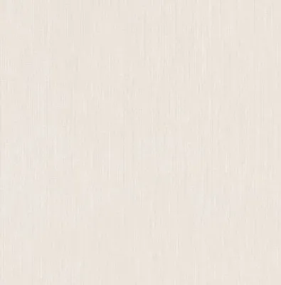 A plain, textured background.