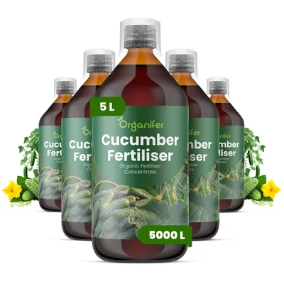 Produktbild von Gurken Dünger 5x1L – 3-4-3 NPK - Flüssigdünger Für Gurken – Für Gesunde Blätter & Üppige Früchte – Fördert Wurzeln & Vitalität – Organifer