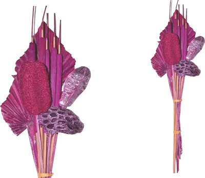 Produktbild von BOHO Trockenblumenstrauß gemischt Little Palm Brombeer gefrosted 64 cm