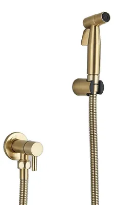 Image de Douche de toilettes et bidet, fixation murale, tuyau en acier inoxydable, finition or brossé