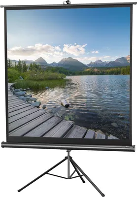 Produktbild von celexon Stativleinwand Economy 158 x 158 cm
