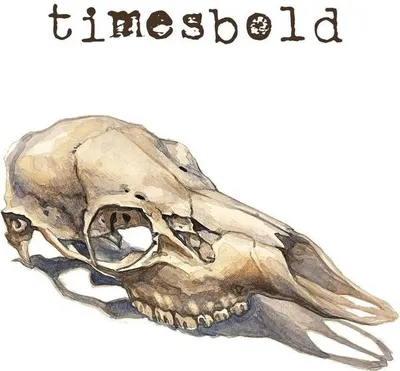 Produktbild von Timesbold: Not Still Here -   - (LP / N)