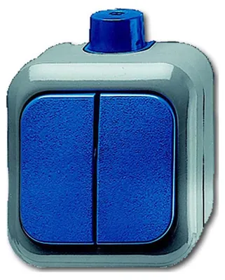 Image de Busch-Jaeger Interrupteur de série AP 2601/5 WDI