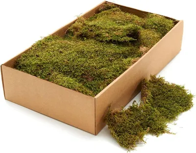 Produktbild von Lappenmoos Natur getrocknet 1 kg Moosplatten Deko Bastelmoos Floristik Wanddeko