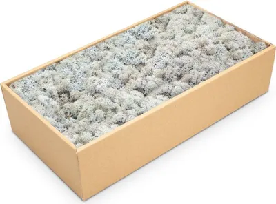 Produktbild von Islandmoos 500g in 30 Farben – Konserviertes Rentiermoos Natur, Farbe:Eisblau