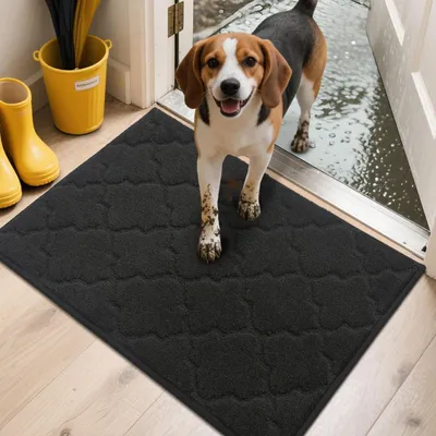 Produktbild von Fussmatte Innen 50 x 80 cm Schmutzfangmatte Schwarz