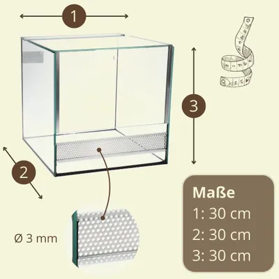 A diagram showing the dimensions of a glass terrarium with measurement indicators and a text box listing the dimensions.