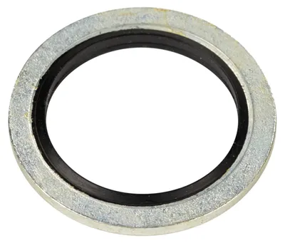 Immagine prodotto di Guarnizione per tappo di scarico olio, codice 670050349
