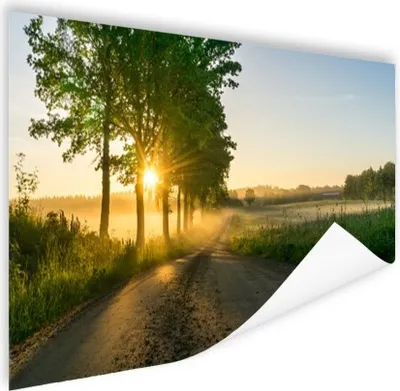 Produktbild von MuchoWow® Poster Sonnenaufgang durch die Bäume 180x120 cm - Fotoplakat