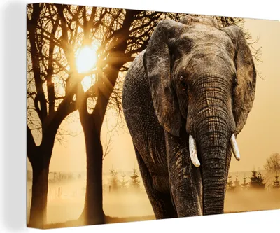 Produktbild von MuchoWow® - Leinwandbilder - Elefant - Baum - Sonne, Wandbild, Wanddeko Bilder Wohnzimmer, 90x60 cm