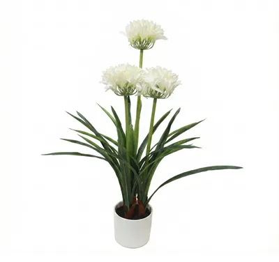 Obrázek produktu pro Umělá květina bílá v květináči Agapanthus, 50 x 80 cm