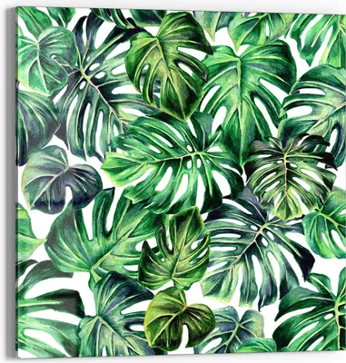 Produktbild von DEQORI Glasbild Echtglas 30x30 cm 'Tropisches Flair' Wandbild Bild modern Deko
