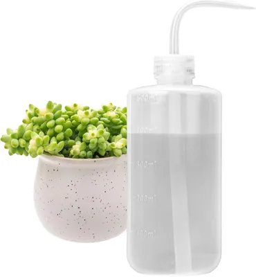 Imagen del producto de Regadera de 500 ml con boquilla, junta tórica para suculentas, cactus, plástico, dispensador de agua
