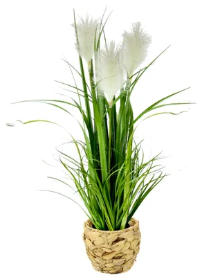 Produktbild von Künstliches Pampasgras im Topf, Federgras, Randgras, Seidenblume, Grasstrauch, Ziergras, künstliche Pflanze, Solitärgras, Ziergras, dekorative Pflanze, Pampasgrasblüte, künstliches Gras, Grünpflanze, Zimmerpflanze