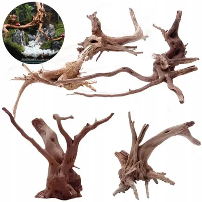 Produktbild von Aquarium Wurzel Red Moor Wood verzweigt 25 cm, natürliche Deko für Süßwasserbecken, bepflanzbar für Moose und Epiphyten