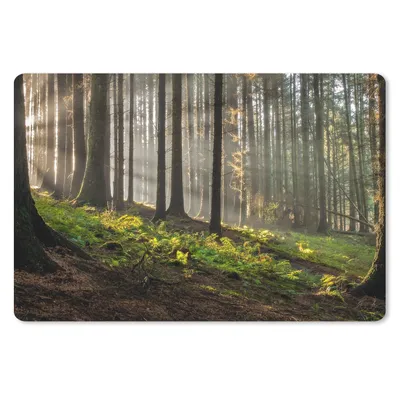 Produktbild von MuchoWow® Mauspad Mousepad Sonne - Äste - Bäume - Wald - Natur 27x18 cm - Mousepads - Maus Mat - Pad - Mausunterlage - Büroartikel - Desk Matten