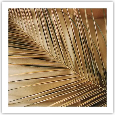 Produktbild von Poster - Poster ohne Rahmen - Blatt Gold Pflanze - 60x60 cm - Wand Bild - Wanddeko - Wandbilder - Kunstposter - Wandposter - Bilder - Kunstdruck - Wanddekoration - Wandbild - P2XAC60x60-5041
