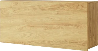 Produktbild von Furniture24 Hängeschrank 110 cm TEEN FLEX TF-12 Wohnzimmerschrank Wandschrank mit Klappe