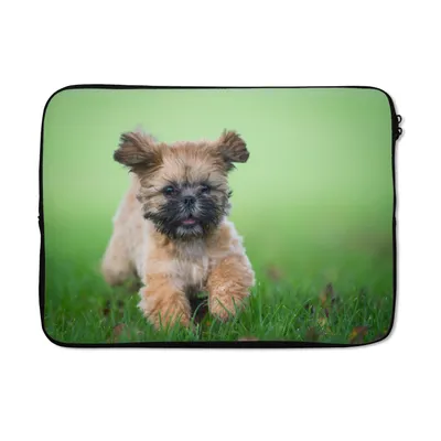 Produktbild von MuchoWow® Laptop Hülle 13 Zoll Ein niedlicher Shih Tzu Hund, der durch das Gras läuft Laptoptasche - Laptophülle - Sleeve - Rundumschutz