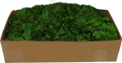 Productafbeelding van Rendiermos groen 500g My Village