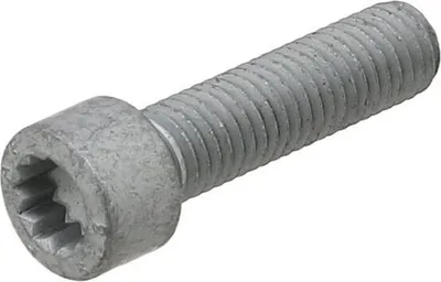Obrázek produktu pro Šroub ELRING 434.400