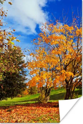 Produktbild von MuchoWow® Poster Baum - Blätter - Herbst - Jahreszeiten 60x90 cm - Wanddekoration