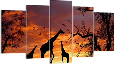 Produktbild von Bild auf Leinwand - Leinwandbild - Giraffe Afrika Sonne Safari - 160x85cm - Wand Bild - Wanddeko - Leinwanddruck - Bilder - Kunstdruck - Wanddekoration - Leinwand bilder - Wandkunst - EA160x85-0507