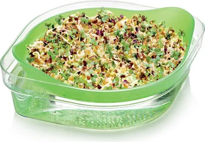 Produktbild von Tescoma Keimsprossenbox SENSE