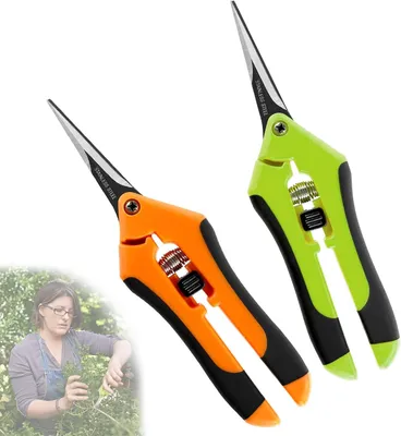Zdjęcie produktu dla 2 nożyce ogrodowe, małe nożyce do zbioru, nożyce do róż, nożyce do bonsai, nożyce do roślin, nożyce do kwiatów, sekator, nożyce ogrodowe do gałęzi, kwiatów i owoców