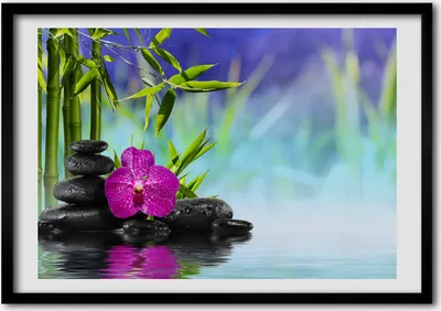 Produktbild von Bild - Bilder - Bilderrahmen - 70 cm x 50 cm - MDF-Rahmen, Wandkunst Bambus Orchidee