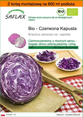 Zdjęcie produktu dla SAFLAX - Garden in the bag - Bio - Czerwona Kapusta - 250 Nasiona - Z podłożem uprawowym w praktycznej, samorozkładającej się torbie - Brassica oleracea var. capitata