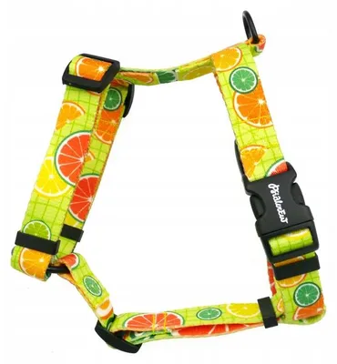 Image de Psiakrew Sangles Guard Lemoniada pour petit chien Ajustables S/M