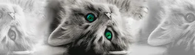 Produktbild von AG design Fliesenaufkleber  Cat  0,14 x 5 m 9 Stück