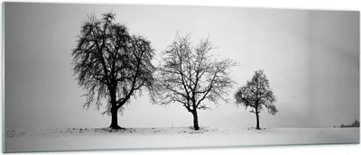 Produktbild von Bilder auf glas - Einteilig - Winter Bäume Schnee - 140x50cm - Glasbilder - Wandbilder - Bilder - zum Aufhängen bereit - Wanddekoration aus Glas - Glas Bilder - Wandbild auf Glas - GAB140x50-4958