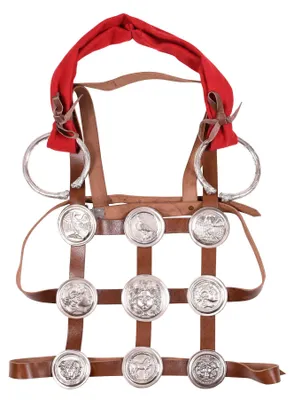 Immagine prodotto di Falere romane in ottone stagnato