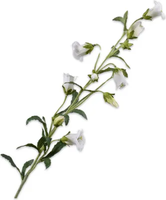 Produktbild von Silk-ka Künstliche Blume – Seidenblumen, Campanula-Zweig, Weiß, 88 cm