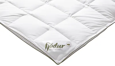 Produktbild von fjödur 4-Jahreszeitendecke 135x200cm "fjödur Fancy" 80% Daunen 100% Baumwolle