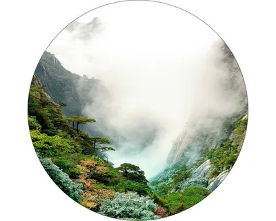 Produktbild von Glasbild Misty valley I Ø 50 cm