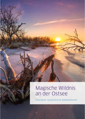 Image de Magische Wildnis an der Ostsee