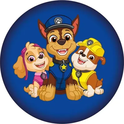 Produktbild von Paw Patrol - Trupp-Gefülltes Kissen AG4129 (40 cm x 40 cm) (Blau/Braun)