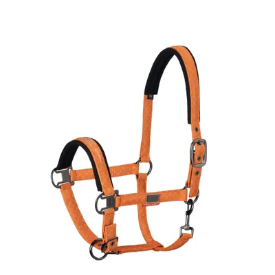 Image de Licol Eskadron Platinum 19 Glossy