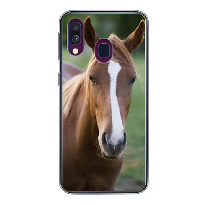 Produktbild von MuchoWow® Handyhülle Schutzhülle Hülle für Samsung Galaxy A40 Pferd - Natur - Porträt Silikon Softcase Handy Hülle - Handy-Tasche