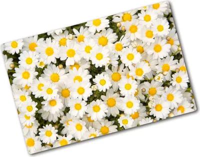 Produktbild von Tulup Glas Herdabdeckplatte - 80x52 cm - Glaskeramikkochfeld-Abdeckung Spritzschutz Glasabdeckplatte - Einteilig - Blumen & Pflanzen - Gänseblümchen - Gelb