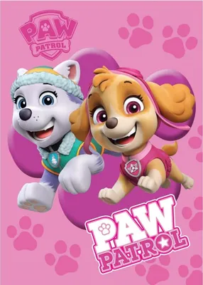 Immagine prodotto di BrandMac Paw Patrol coperta in pile per bambini - morbidissima coperta in pile, lancio, 100 x 140 cm, regali per bambini