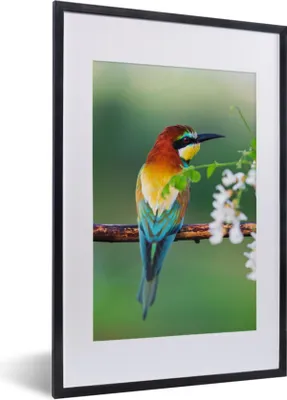 Produktbild von MuchoWow® Gerahmtes Poster Vogel - Bienenfresser - Blumen 40x60 cm - Poster mit Schwarzem Bilderrahmen Wandposter Rahmen Foto Bilder - Poster in Rahmen