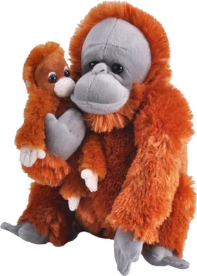 Produktbild von Mutter und Junges - Orang-Utan