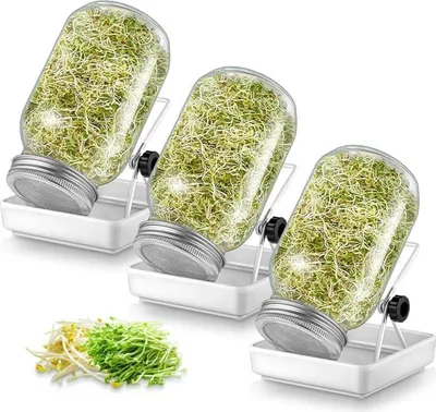 Image de Set de bocaux à germination avec couvercle à filtre en acier inoxydable et support, 750ml - pack de 3