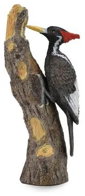 Produktbild von COLLECTA Elfenbeinschnabelspecht - (L)